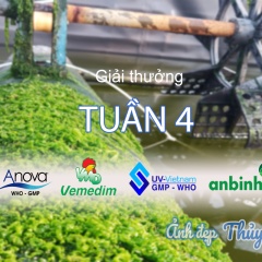 Ảnh Đẹp Thủy Sản: Quà tặng tuần 4